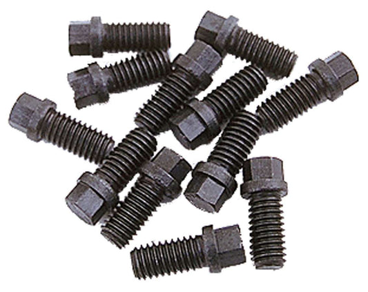 TRA8885.jpg