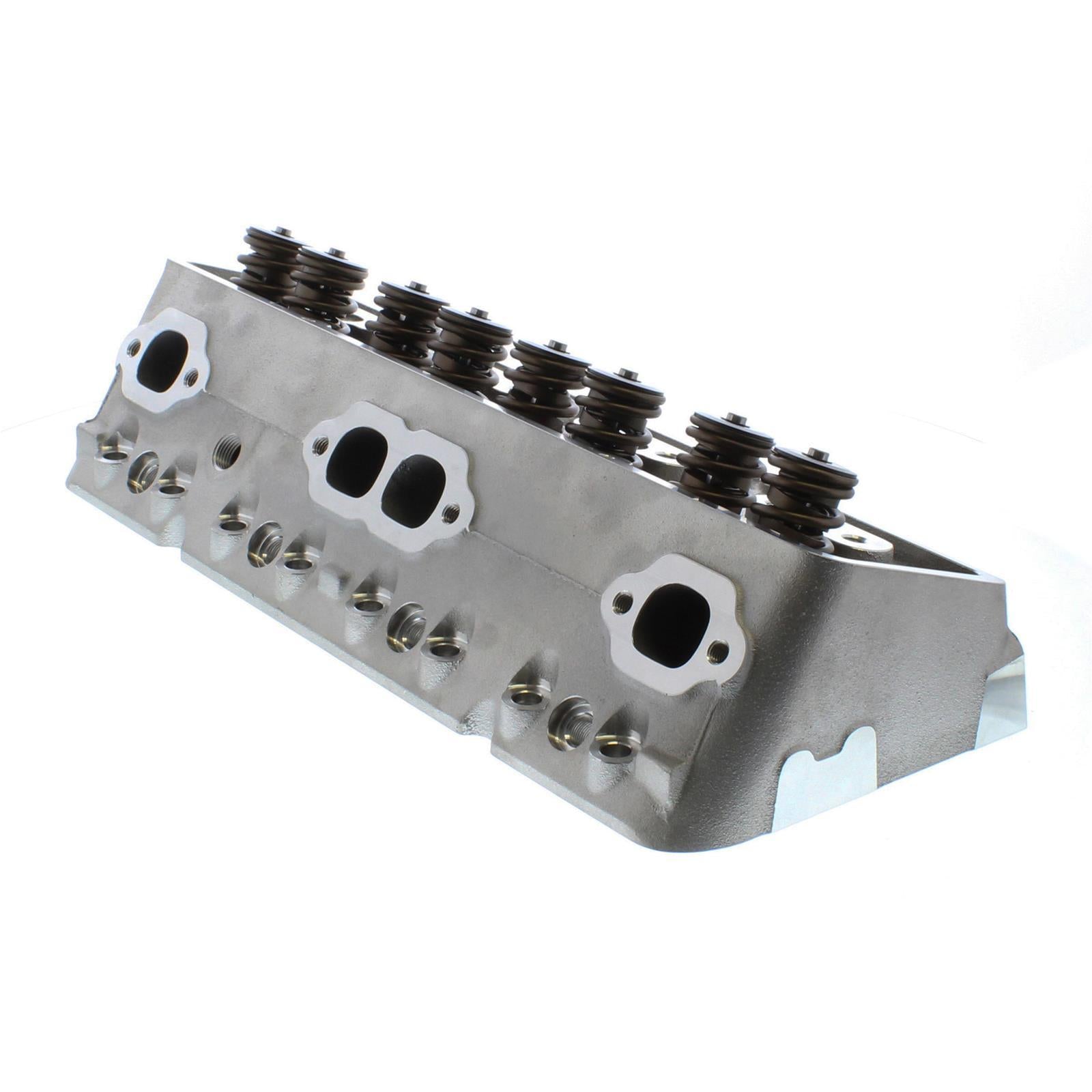 TRFTFS-30210003.jpg