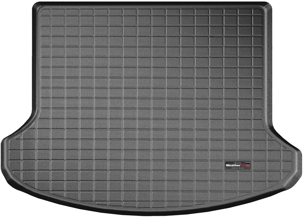 WEA40632.jpg