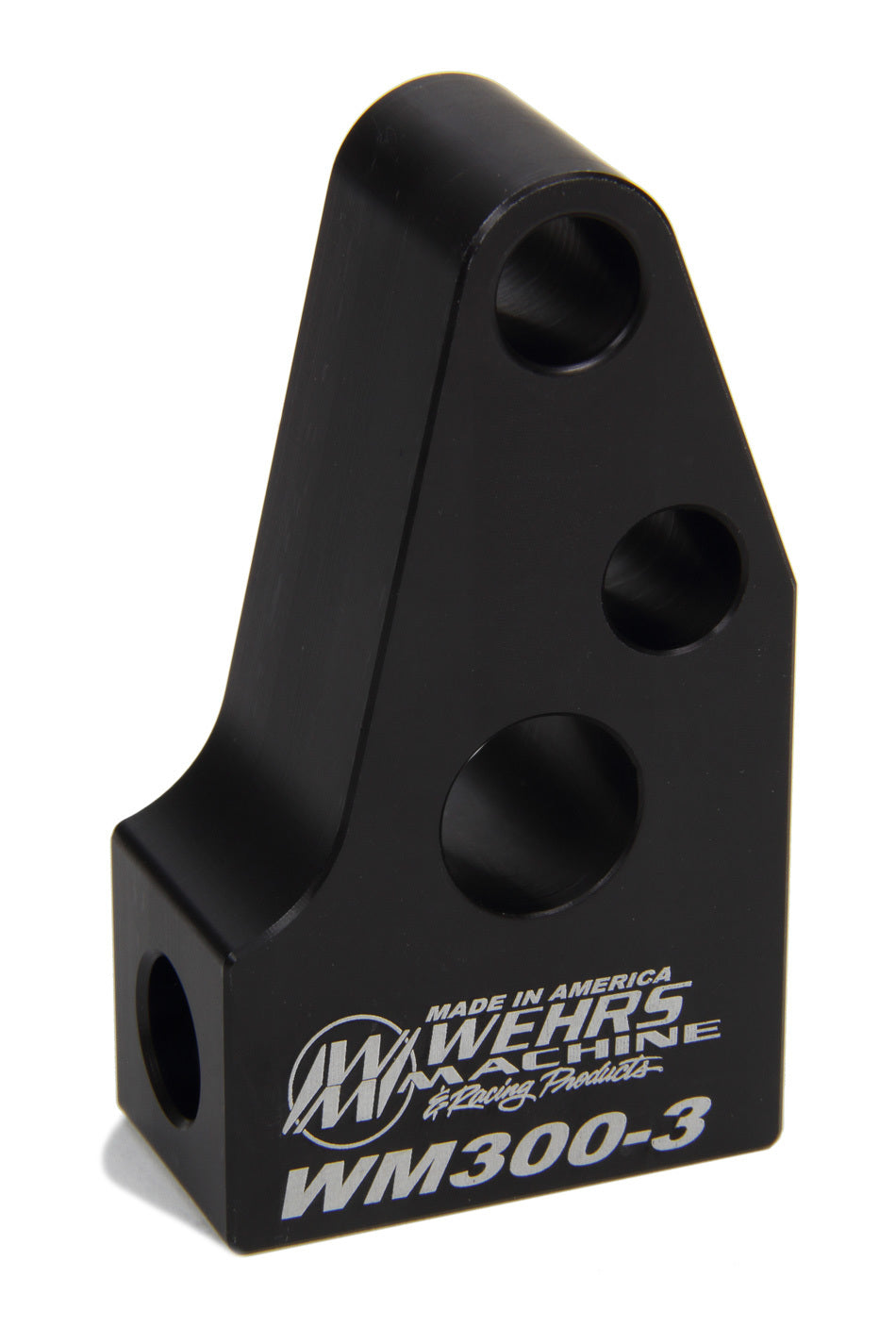 WEHWM300-3.jpg