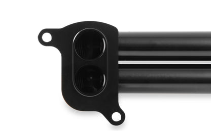 hemi0005erl_03.jpg