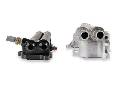 hemi0005erl_11.jpg